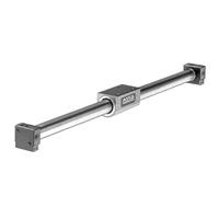 Emerson ASCO Rodless Cylinder, 445 Series