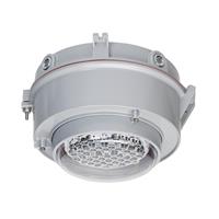 Emerson Appleton LED Low Profile Luminair, Mercmaster