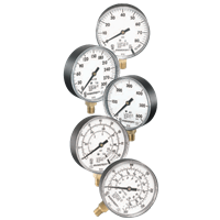 Ashcroft Fire Protection Sprinkler Service Gauge, 1005P XUL