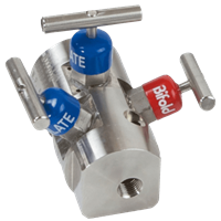 Bifold Double Block & Bleed Manifold, NV05