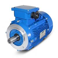 Cameron AC Motor
