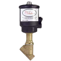 Dwyer Angle Seat Valve - Bronze NPT, Series SAV-BT