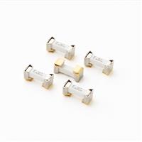 Littelfuse 250V Time-Lag Surface Mount Fuse and Clip Assembly, 160 Series