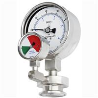 Wika Diaphragm monitoring system, Model DMS-FP