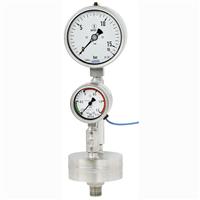 Wika Diaphragm monitoring system, Model DMS34