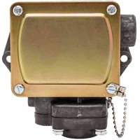 Winters Instruments Industrial Pressure Switch, 3WPS