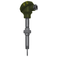 Winters Instruments Industrial RTD, TER