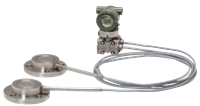 Yokogawa Differential Pressure Transmitter with Remote Diaphragm Seals, EJA118E