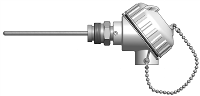 Thermometer Replacement RTD